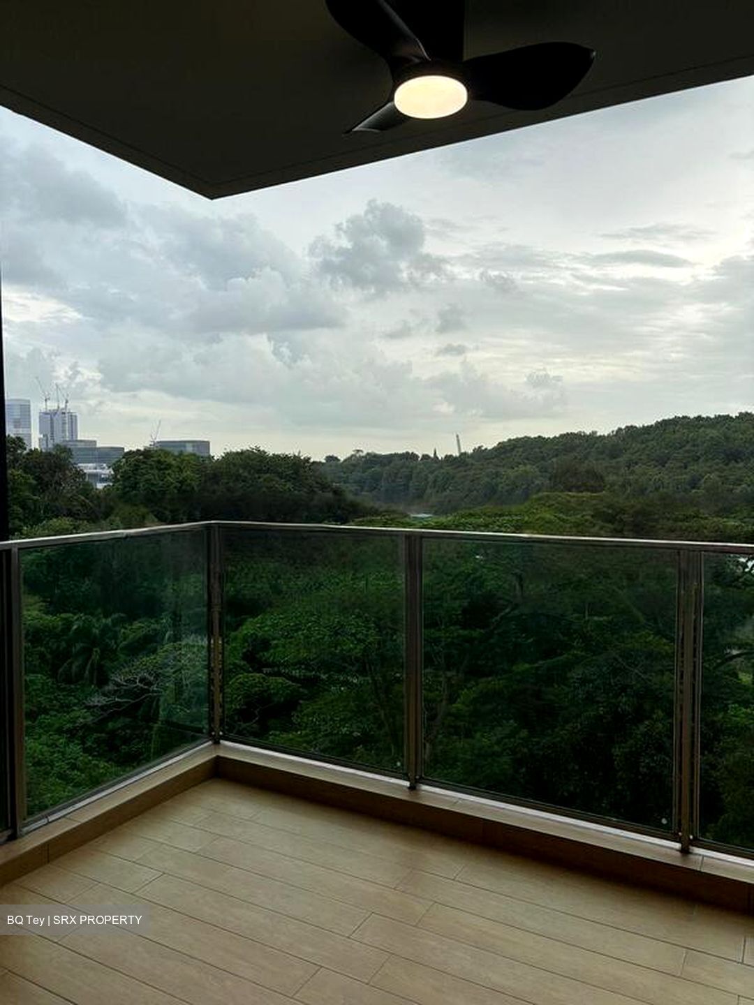 Normanton Park (D5), Apartment #450052491